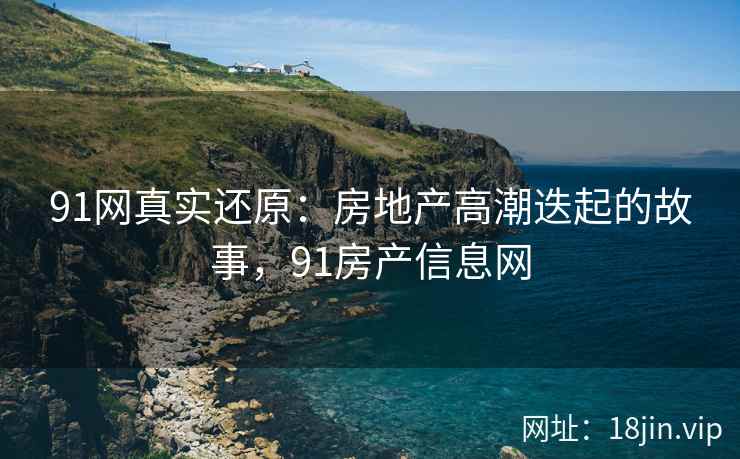 91网真实还原：房地产高潮迭起的故事，91房产信息网