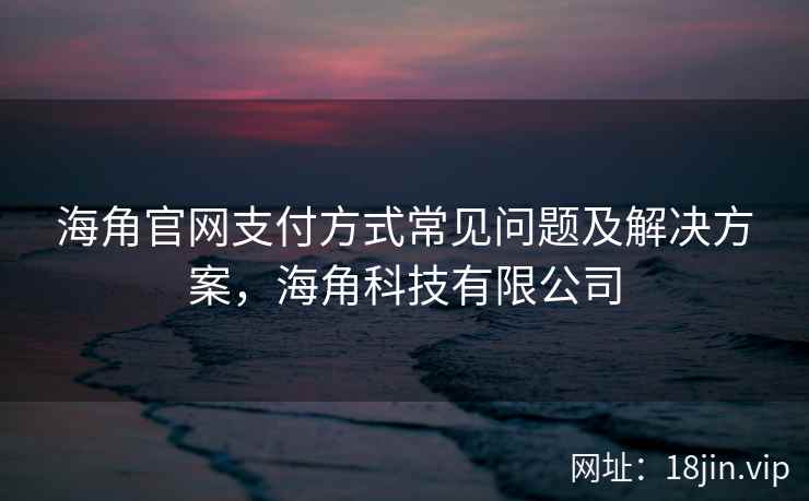 海角官网支付方式常见问题及解决方案，海角科技有限公司