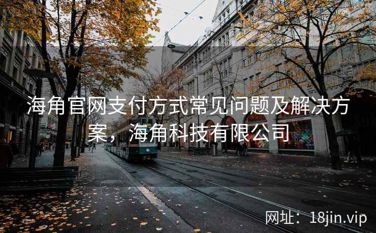 海角官网支付方式常见问题及解决方案，海角科技有限公司