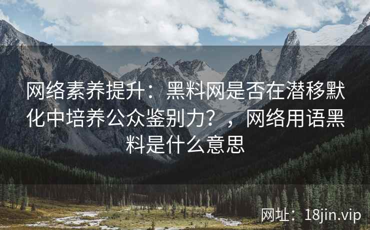 网络素养提升：黑料网是否在潜移默化中培养公众鉴别力？，网络用语黑料是什么意思