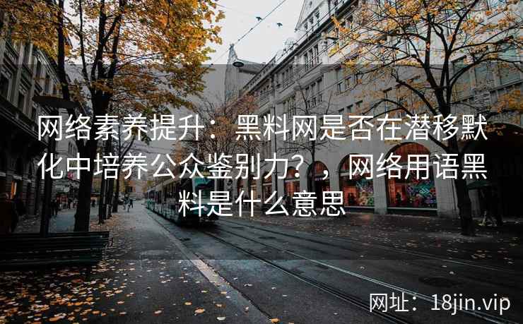 网络素养提升：黑料网是否在潜移默化中培养公众鉴别力？，网络用语黑料是什么意思