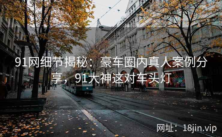 91网细节揭秘：豪车圈内真人案例分享，91大神这对车头灯