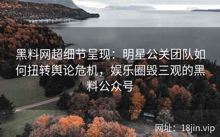 黑料网超细节呈现：明星公关团队如何扭转舆论危机，娱乐圈毁三观的黑料公众号