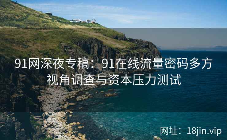 91网深夜专稿：91在线流量密码多方视角调查与资本压力测试