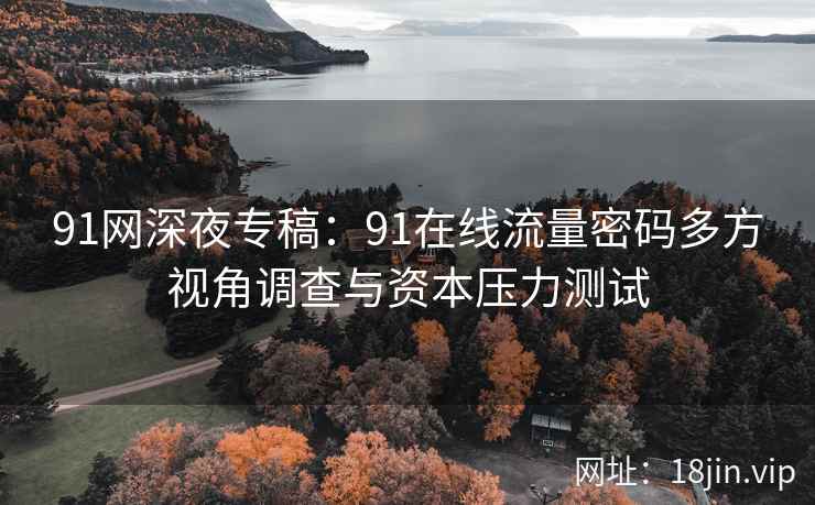 91网深夜专稿：91在线流量密码多方视角调查与资本压力测试