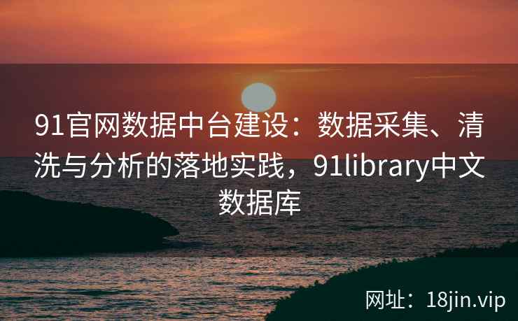 91官网数据中台建设：数据采集、清洗与分析的落地实践，91library中文数据库
