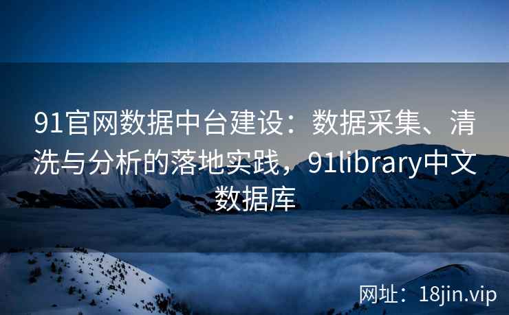 91官网数据中台建设：数据采集、清洗与分析的落地实践，91library中文数据库