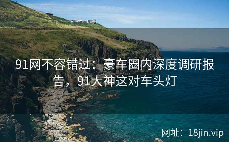 91网不容错过：豪车圈内深度调研报告，91大神这对车头灯