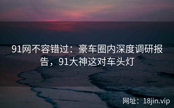 91网不容错过：豪车圈内深度调研报告，91大神这对车头灯