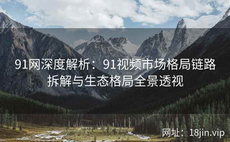 91网深度解析：91视频市场格局链路拆解与生态格局全景透视
